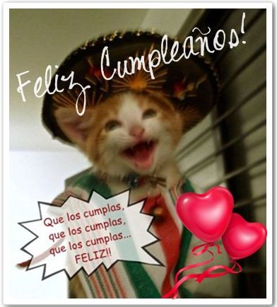 tarjetas de cumpleaños graciosas 15 gato cantando